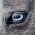 SETH MCSWAIN - @sethmcswain - Instagram