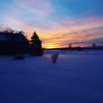 not seth swartz - @not_seth_swartz - Instagram