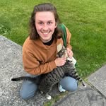 seth sweeney - @sethy73 - Instagram