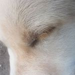 Seth Sweeney - @sethsweeney917 - Instagram