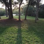 Seth Romaine - @sethsweetgritsromaine - Instagram