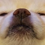 @seth._.tate - Instagram