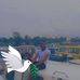 Tender Seth Segun - Facebook