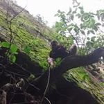 Seth Temple - @templeseth - Instagram
