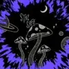 Seth Templeton671 - @33ace420 - TikTok