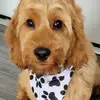 Seth Templeton - @s_.templeton - TikTok