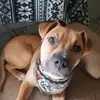 Seth Thurman - @seth.thurman - TikTok