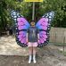 Seth Tillman - Facebook