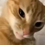 Seth Tischler - @stischler_03 - Instagram