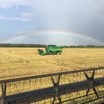 Seth Tomlinson - @setht81 - Instagram
