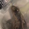 Seth•^ - @seth.tracey - TikTok