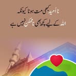 Seth Qaiser Trader - Facebook