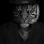 Seth Trader - Facebook