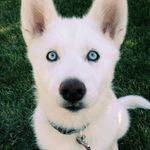 Seth_travis - @seth_travis7343 - Instagram
