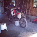seth Tripp - @sethtripp - Instagram