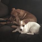 Seth Tuttle - @tuttle7651 - Instagram
