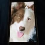 Seth Tuttle - @sethtuttle22 - Instagram