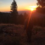 Seth Tyler - @sethdangerr - Instagram