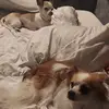sethupton - @www.seth.com5 - TikTok