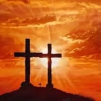 Seth Aurisch - Facebook