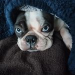 Seth Usher - @stylin_seth - Instagram