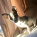 Seth VanHorn - Facebook