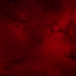SethV. - @sethvasquez - Instagram