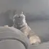 SETH_WAIT - @seth_wait - TikTok