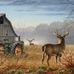 Seth Ward - Facebook