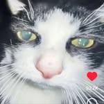 Seth Warner - @seth4_2o - Instagram
