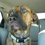 Seth Warner - @dirtbikeman12345 - Instagram