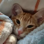 Seth Waylin - @sethwaylin - Instagram