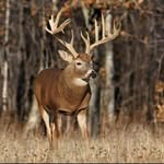 Seth Weakley - @weakleyseth - Instagram