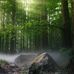 Seth Webb - Facebook