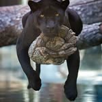 Seth Weeden - @sethweeden - Instagram