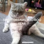 Seth weeks - @rizz123618 - Instagram