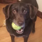 Seth Weinberger - @sethweinberger - Instagram