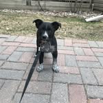 Seth Weinberger - @weinberger.seth - Instagram