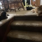 Seth Weir - Facebook