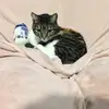sethweir88 - @sethweir88 - TikTok