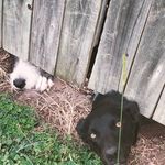 Seth Werner - @sethwerner67 - Instagram