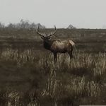 Seth Westphal - @sethwestphalia - Instagram