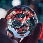 Seth Willard - @disneyinstasnaps - Instagram