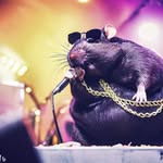 Seth Willard - @thatboyseth123 - Instagram