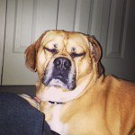Šęth Wîńtērš - @24sethwinter24 - Instagram