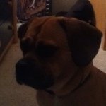 Seth Winters - @awesome_saw - Instagram