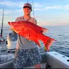 Sethwinters24 - @sethwinters1 - TikTok