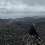 Seth - @sethwitt15 - Instagram