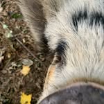 Seth Workman - @sethworkman123098 - Instagram