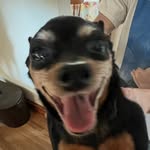 Seth Workman - @seth_workmann - Instagram